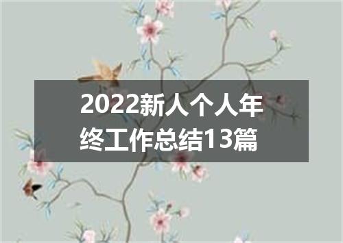 2022新人个人年终工作总结13篇