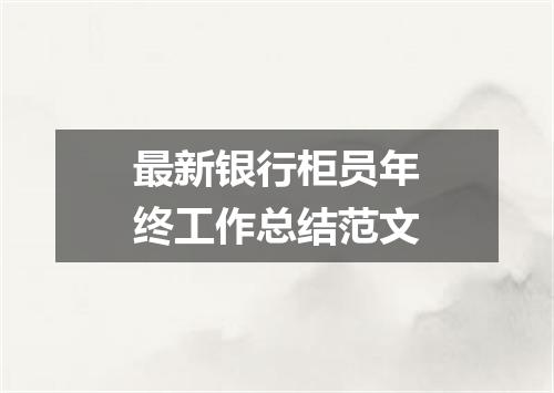 最新银行柜员年终工作总结范文
