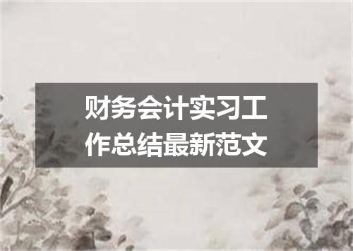 财务会计实习工作总结最新范文