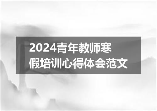 2024青年教师寒假培训心得体会范文
