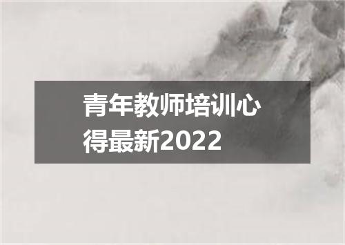 青年教师培训心得最新2022