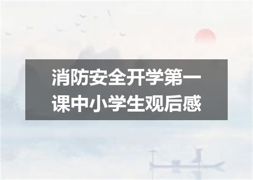 消防安全开学第一课中小学生观后感