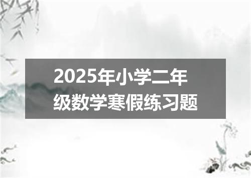 2025年小学二年级数学寒假练习题