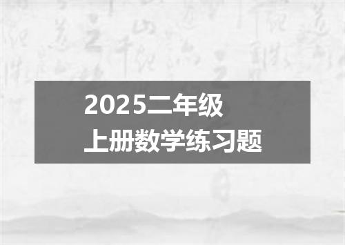 2025二年级上册数学练习题