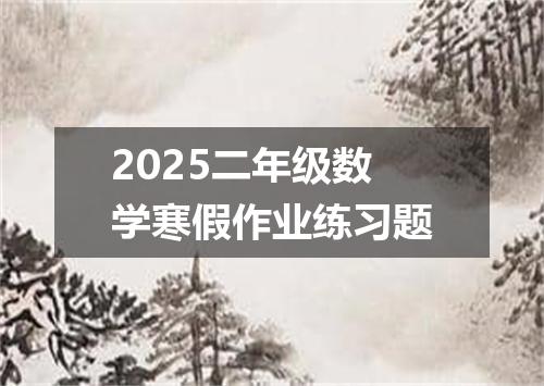 2025二年级数学寒假作业练习题