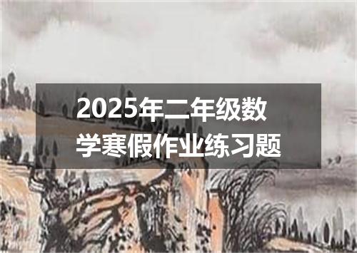 2025年二年级数学寒假作业练习题