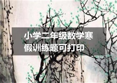 小学二年级数学寒假训练题可打印
