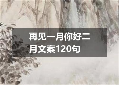 再见一月你好二月文案120句