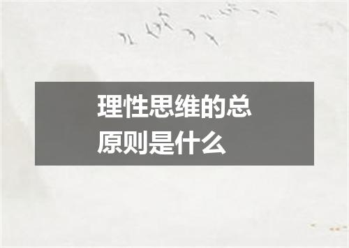 理性思维的总原则是什么