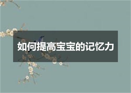 如何提高宝宝的记忆力