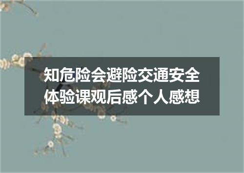 知危险会避险交通安全体验课观后感个人感想