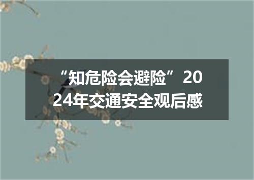 “知危险会避险”2024年交通安全观后感