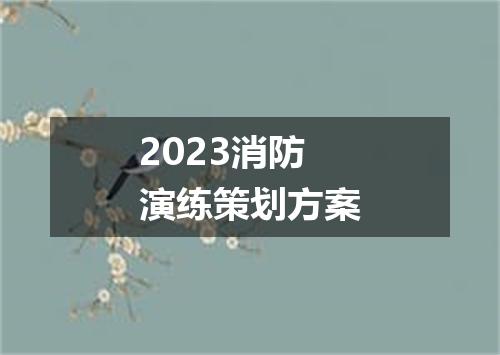 2023消防演练策划方案