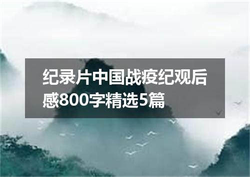 纪录片中国战疫纪观后感800字精选5篇