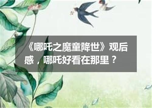 《哪吒之魔童降世》观后感，哪吒好看在那里？