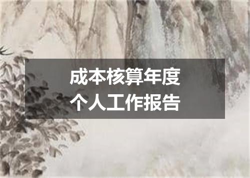 成本核算年度个人工作报告