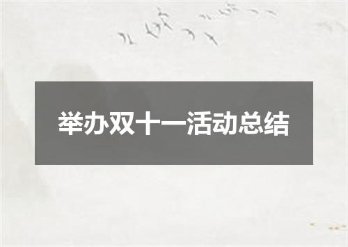 举办双十一活动总结