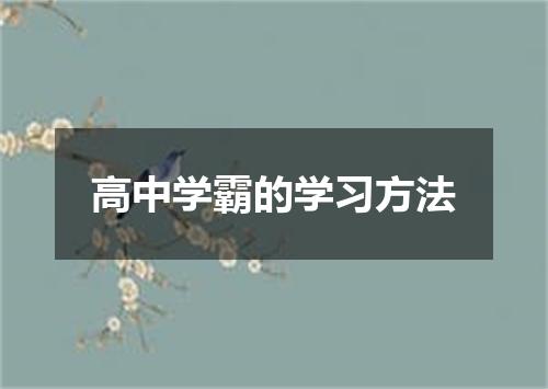 高中学霸的学习方法