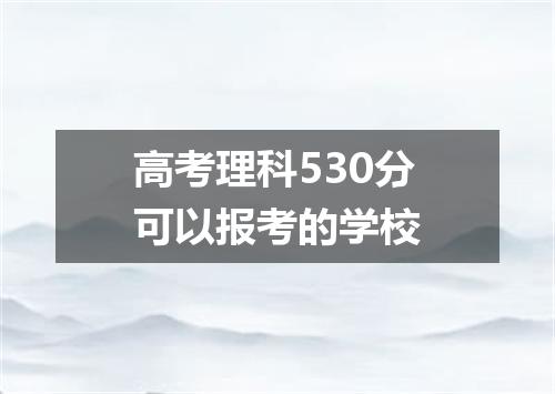 高考理科530分可以报考的学校