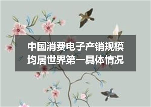 中国消费电子产销规模均居世界第一具体情况