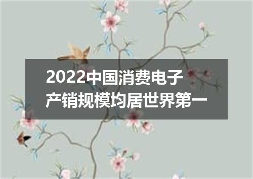 2022中国消费电子产销规模均居世界第一