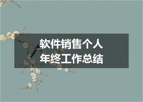 软件销售个人年终工作总结