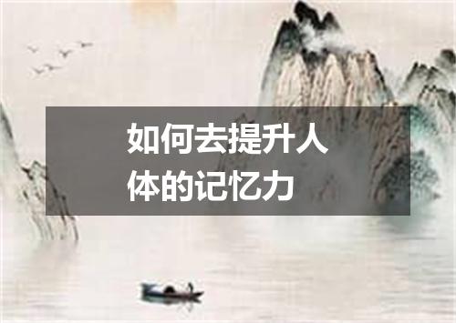如何去提升人体的记忆力