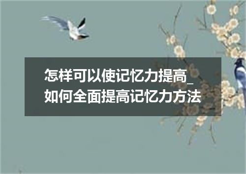 怎样可以使记忆力提高_如何全面提高记忆力方法