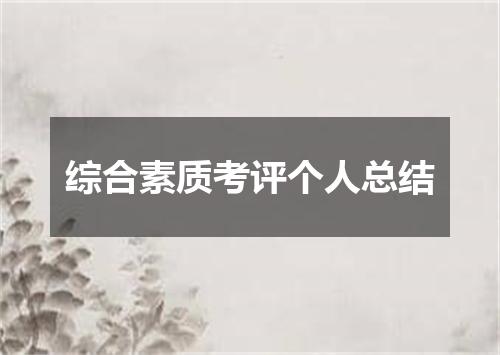 综合素质考评个人总结