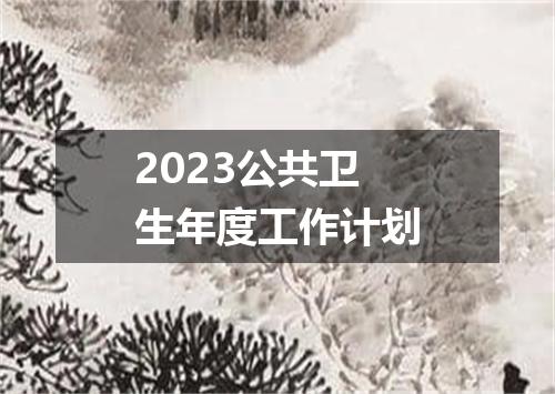 2023公共卫生年度工作计划