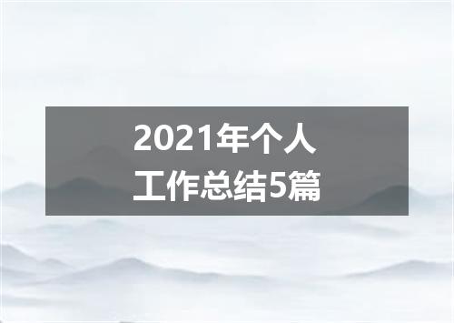 2021年个人工作总结5篇