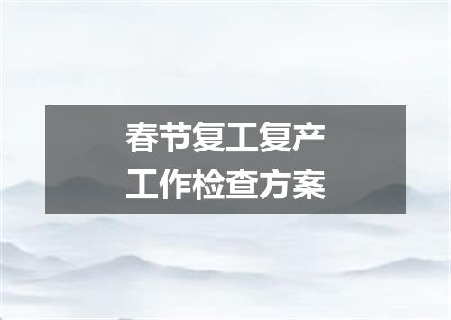 春节复工复产工作检查方案