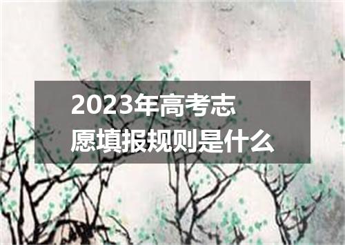 2023年高考志愿填报规则是什么