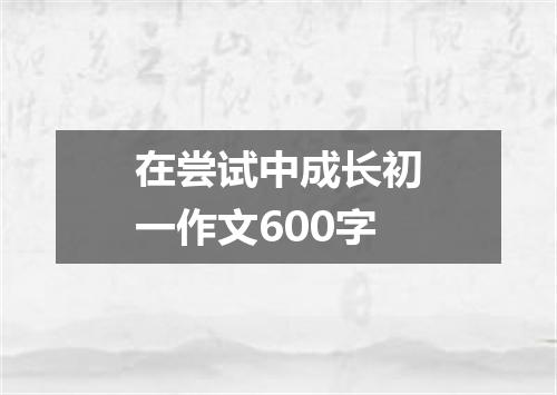 在尝试中成长初一作文600字