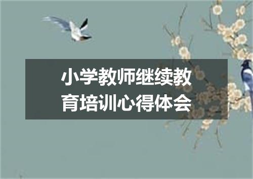 小学教师继续教育培训心得体会