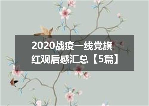 2020战疫一线党旗红观后感汇总【5篇】