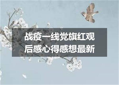 战疫一线党旗红观后感心得感想最新