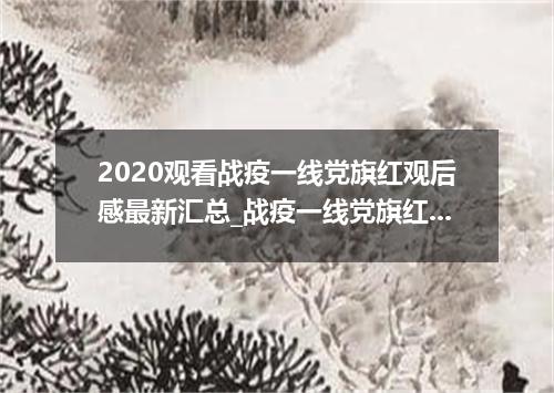 2020观看战疫一线党旗红观后感最新汇总_战疫一线党旗红感悟作文大全