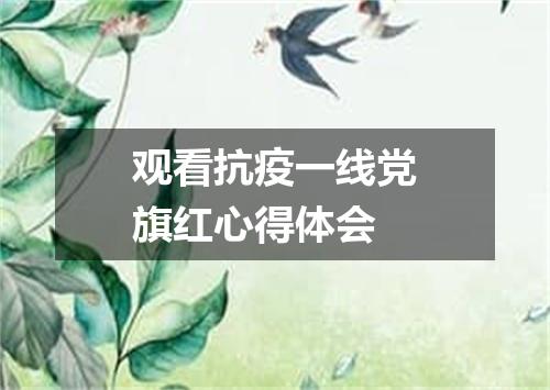 观看抗疫一线党旗红心得体会