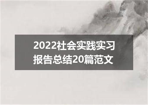 2022社会实践实习报告总结20篇范文