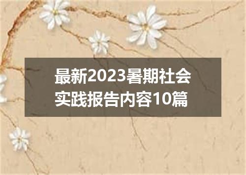最新2023暑期社会实践报告内容10篇