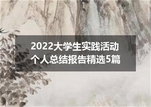 2022大学生实践活动个人总结报告精选5篇