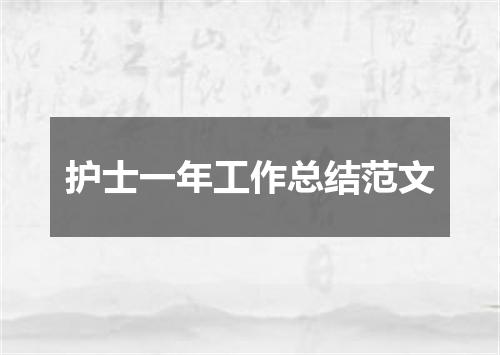 护士一年工作总结范文