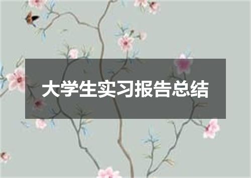 大学生实习报告总结