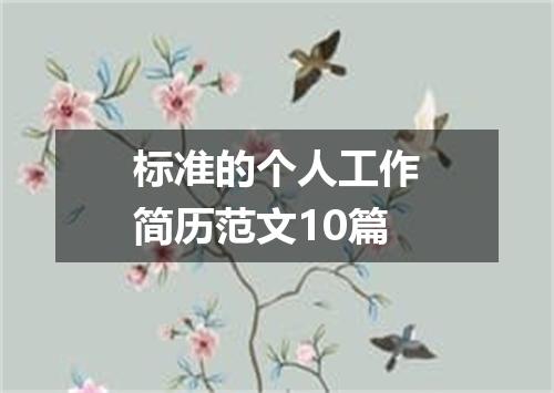 标准的个人工作简历范文10篇