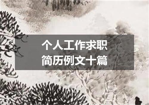 个人工作求职简历例文十篇