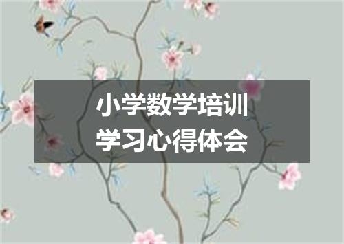 小学数学培训学习心得体会