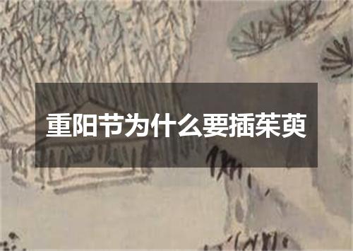 重阳节为什么要插茱萸