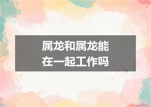 属龙和属龙能在一起工作吗