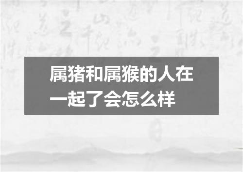 属猪和属猴的人在一起了会怎么样